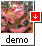 download W2 demo